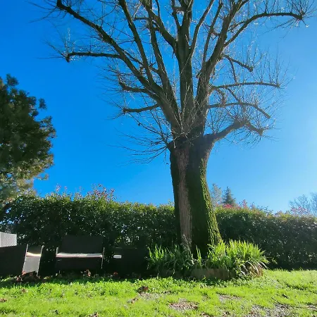 Il Tiglio Bed and breakfast