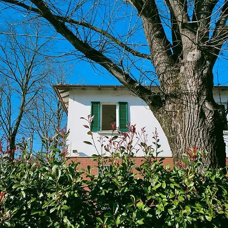Il Tiglio Couette-café Dozza