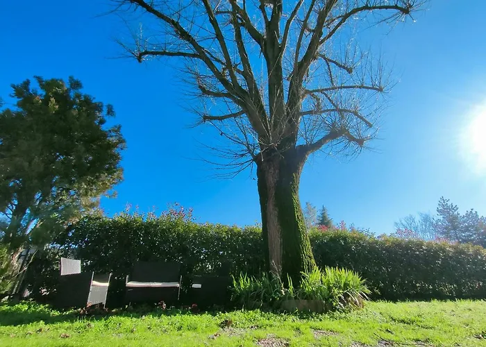 Il Tiglio Bed and Breakfast